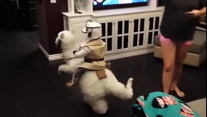 Star Wars Awesome Luke Skywalker TaunTaun cosplay