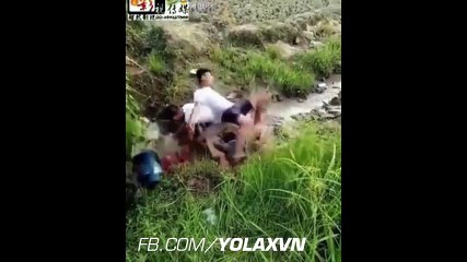 2016 Troll Funny - engraçado - komik - مضحك - gracioso [Part 20]