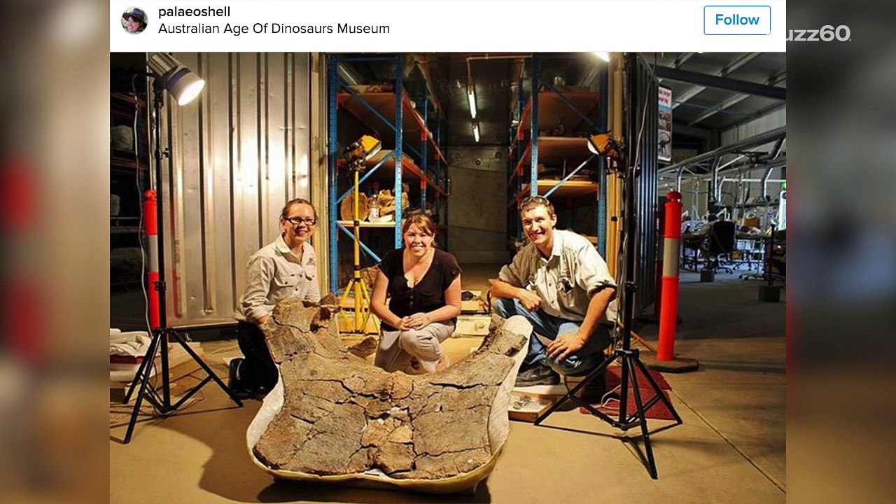 Man Discovers New Dinosaur Species While Herdin...