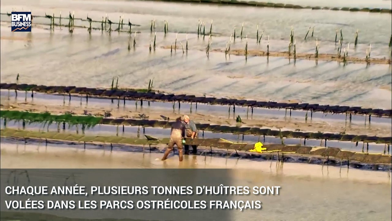 Une huître connectée comme antivol !