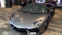 Lovely Grey Aventador LP700-4 at Hotel in London!(details, scenes)