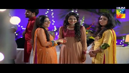 Haya Kay Daman Main Episode 02 Full HUM TV Drama 31 March 2016