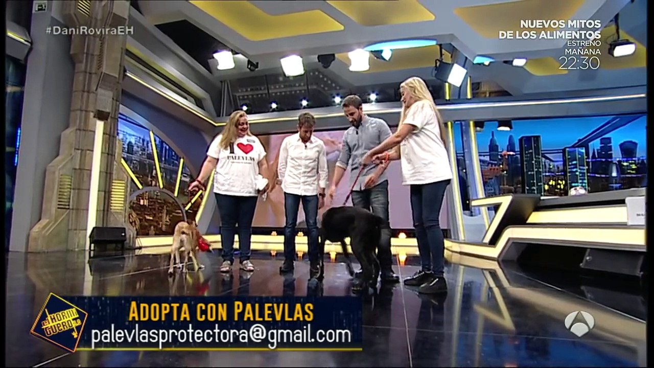 Dani Rovira adopta a uno de los perretes