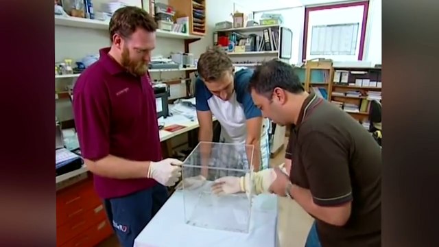 5 ПРОСТЫХ ВОПРОСОВ, НА КОТОРЫЕ МНОГИЕ НЕ ЗНАЮТ ОТВЕТ