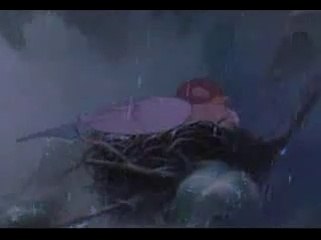 Ha ha ha ! Et vive les clapotis ! Vive la pluie !