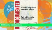 Big Deals  Undocumented: How Immigration Became Illegal  Full Ebooks Most Wanted