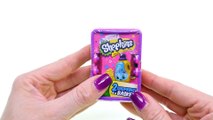 Shopkins Challenge - Leafy - How To Make DIY Shopkins Crafts out of Perler Beads with DCTC