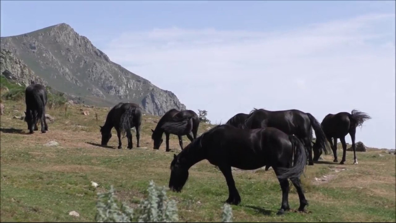 Traversée des Pyrénées - 6ème épisode