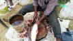 Amazing Cutting Fish | Fastest Rohu Fish Cutting | Big Carp Clean And Fillet