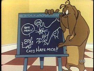 Cão Marco Antônio e seu gatinho de estimação