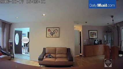 Un ado tombe nez à nez avec un voleur