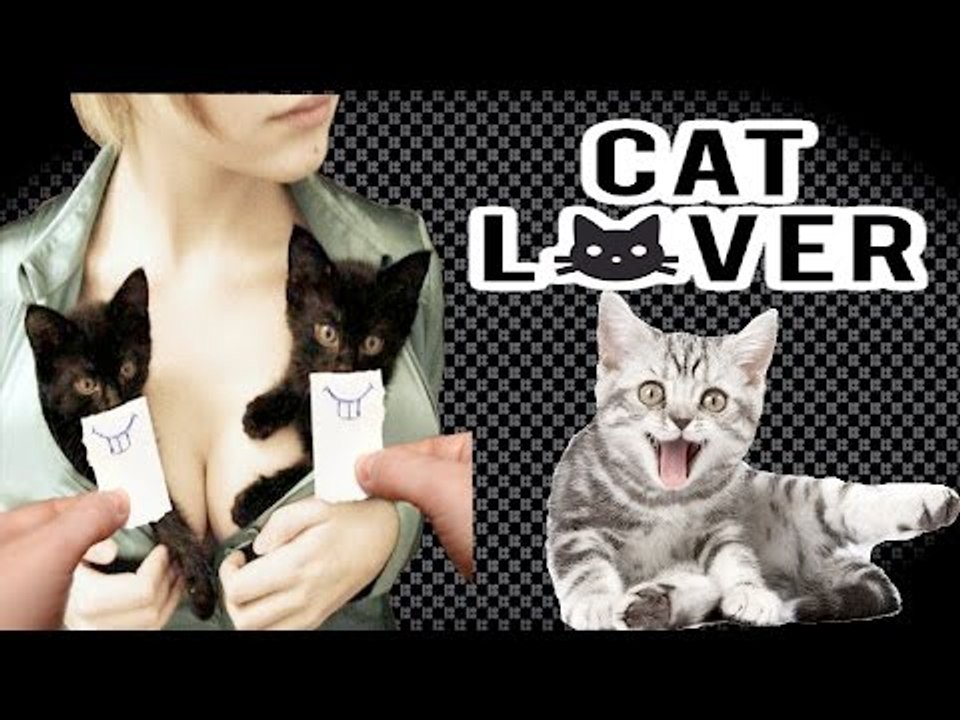 Ultimate Cats Best funny Epic Video Compilation 2016