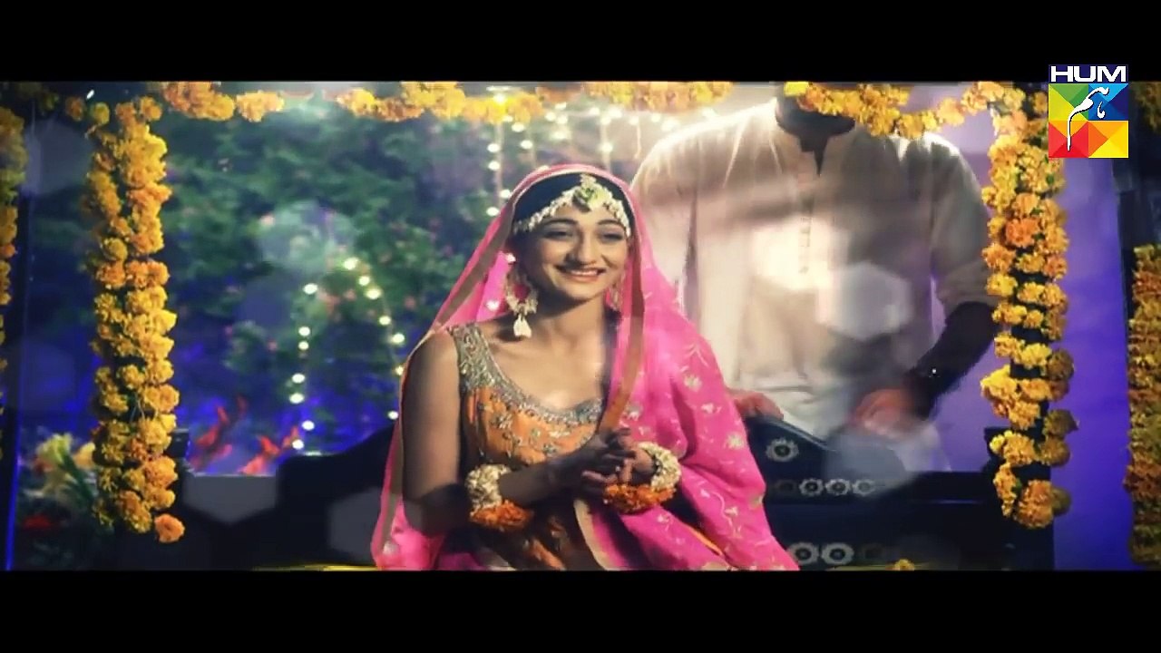 Haya Kay Daman Main Episode 3 Full HUM TV Drama 01 April 2016