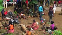 Train crash in Cameroon kills more than 50 people