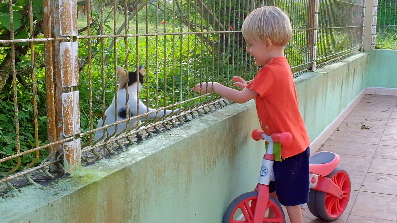 S. et le chat (du voisin)
