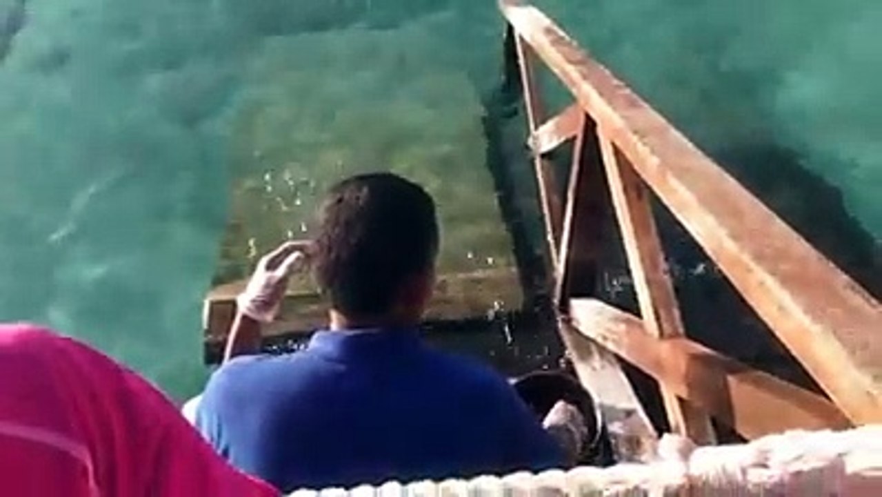 alimentando una mantarralla