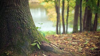 밤*의*전*쟁 동탄키스방 동탄안마 동탄안마