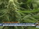 Valley educators tour marijuana dispensary ahead of vote on recreational legalization