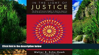 Books to Read  In the Light of Justice: The Rise of Human Rights in Native America and the UN