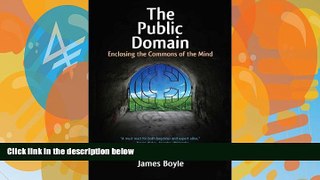 Books to Read  The Public Domain: Enclosing the Commons of the Mind  Best Seller Books Most Wanted