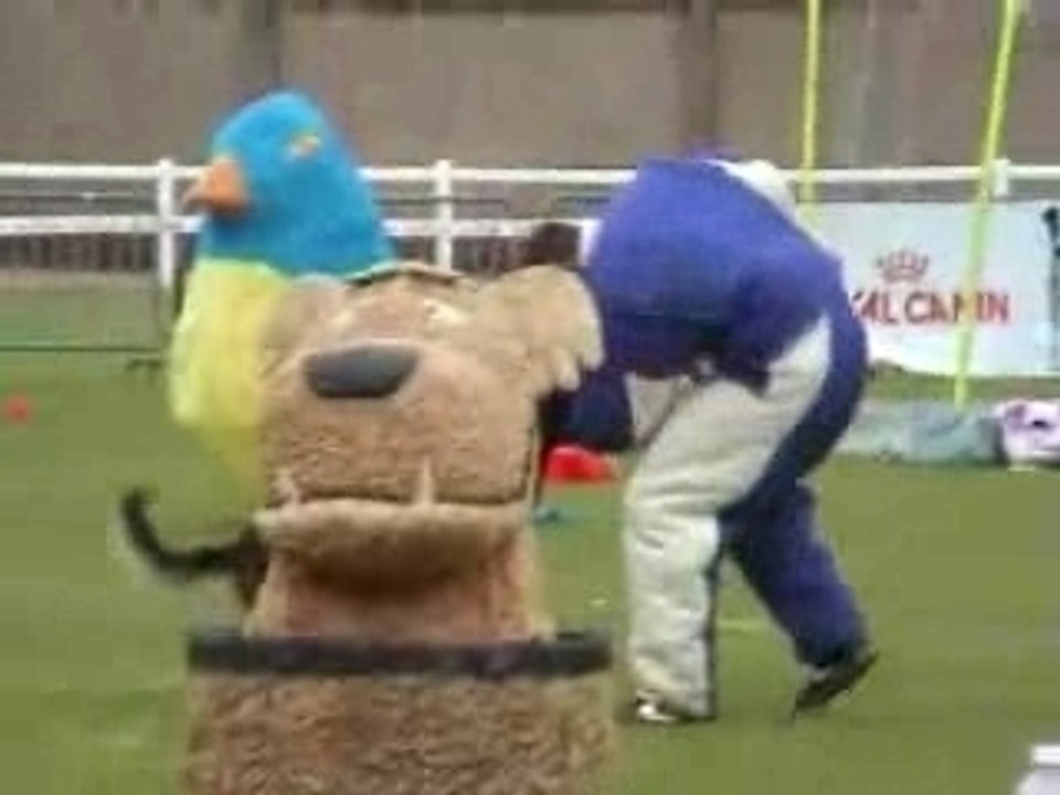 Championnat de France Mondioring HAGONDANGE 2004