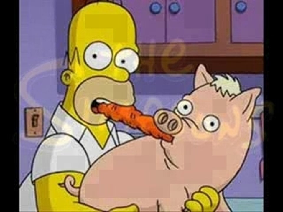 Les_Simpson_-_Spider_Cochon - Vidéo