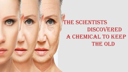The scientists discovered a chemical to keep the old