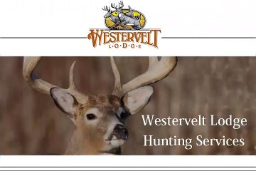 Westervelt Lodge Hunting Services