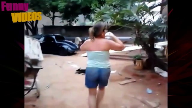 Funny videos 2016 - Funny fails, Funny animals, Funny dogs and cats, Pranks Try not to laugh 2016