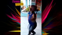 Funny videos 2016 Pranks Funny fails 2016 - Try not to laugh or grin challenge impossible