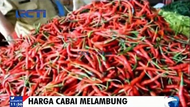 Akibat Cuaca Buruk, Harga Cabai Melambung Hingga 100 Persen