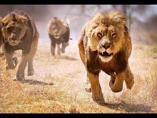 BesT QuoTe FoR OuR Daily LiFe..