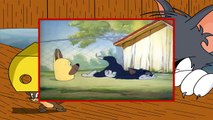 Tom y Jerry, Episodio 16 - Suplantando a un perro (1944)