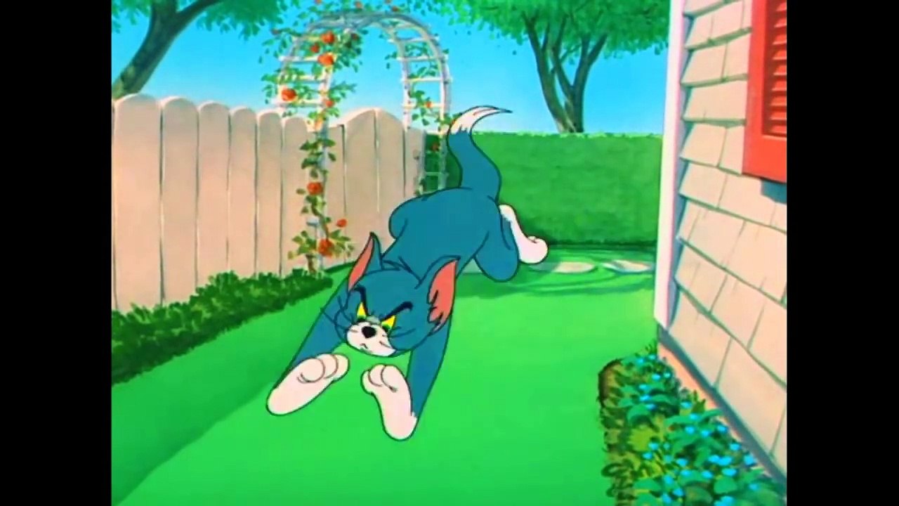 Tom and Jerry - Episode 60 - Slicked-up Pup (1951)