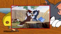 Tom y Jerry, Episodio 9 - Gatos Sufridos (1943)