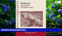 Books to Read  Examples   Explanations: Antitrust, Second Edition  Full Ebooks Most Wanted