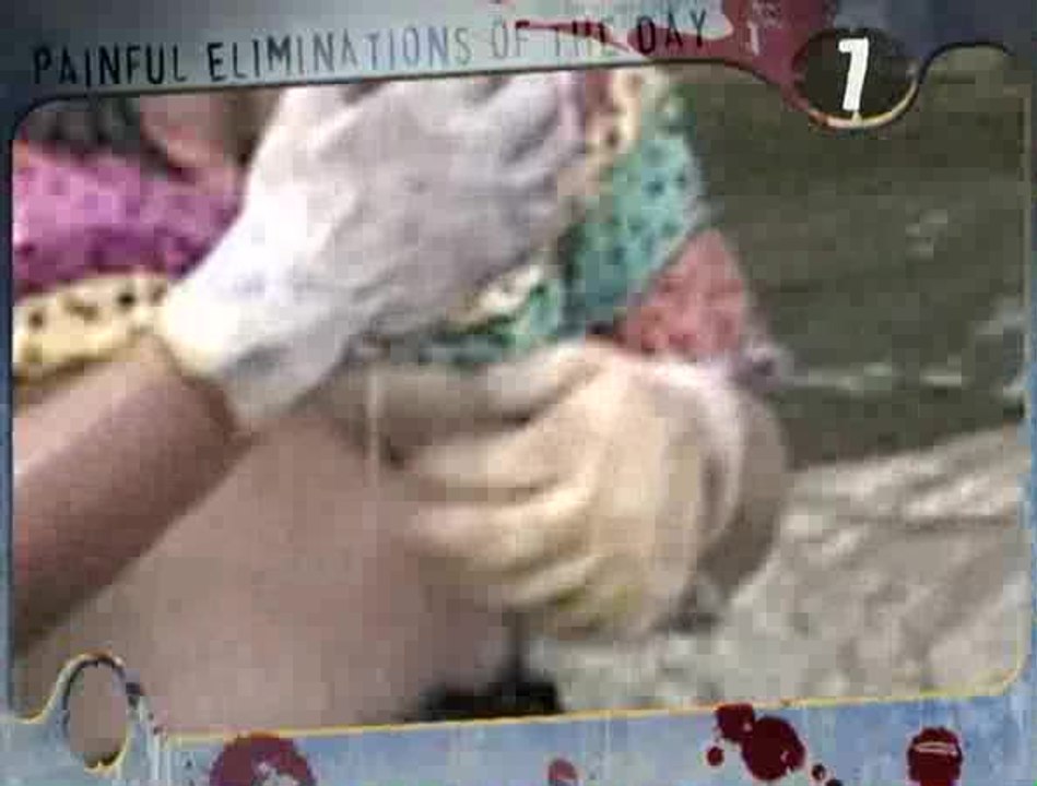 Most Extreme Elimination Challenge - S 3 E 2 - Republicans vs. Democrats vs. Third Party