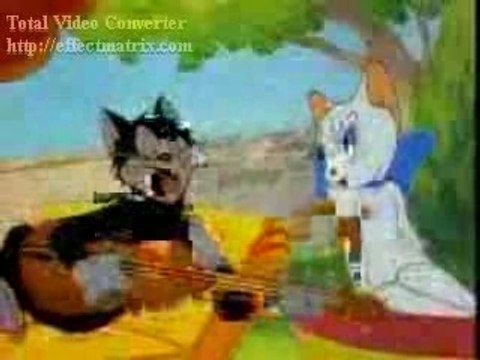 viva polisario sahara occidental