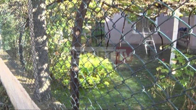 Report TV - Përmbytja e katërt në dy javë, Lezha sërish nën ujë,prek banesa e biznese