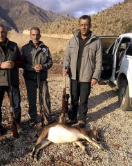 2 Yavrulu Dağ Keçisini Vuran 2 Avcıya 18 Bin Lira Ceza
