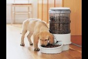 Automatic Pet Feeder Reviews-Ways to Know More About Them