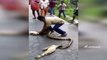 Whatsapp Latest Most Viral Funny Videos | Snake Catcher Takes Off Dinner from Snake Mouth