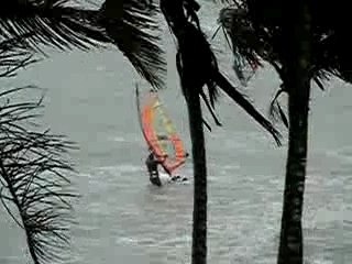 planchistes pendant cyclone dean