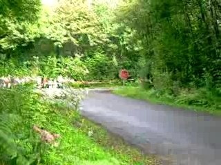 Rallye 12 travaux d'hercule 2007