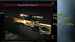 CS GO - The Most Expensive Skin For EVERY Weapon