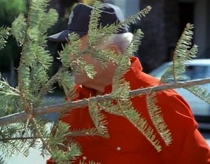 Hardcastle & Mccormick 2x10 Hate The Picture Love The Frame