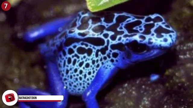 12 Most Dangerous Substances