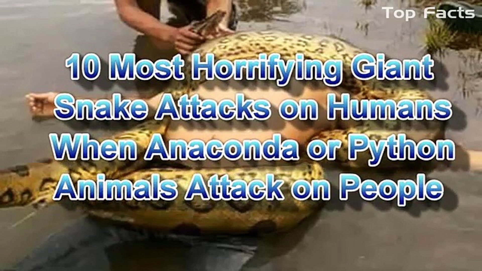 Giant Anaconda Attacks Human Caught on Camera - When Animals attack People  - Most Amazing Attacks - video Dailymotion