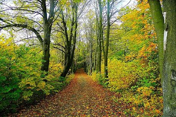 밤*의*전*쟁 오산립카페 오산안마 오산마사지