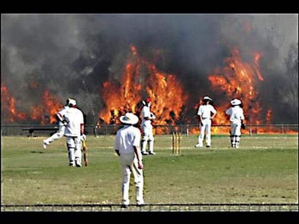 Top 10 Cricket Fails